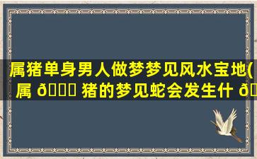 属猪单身男人做梦梦见风水宝地(属 🐘 猪的梦见蛇会发生什 🌺 么事)